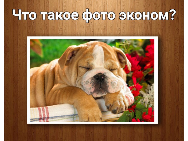 ЧТО ТАКОЕ ФОТО ЭКОНОМ И ПОЧЕМУ ОНО ДЕШЕВЛЕ?